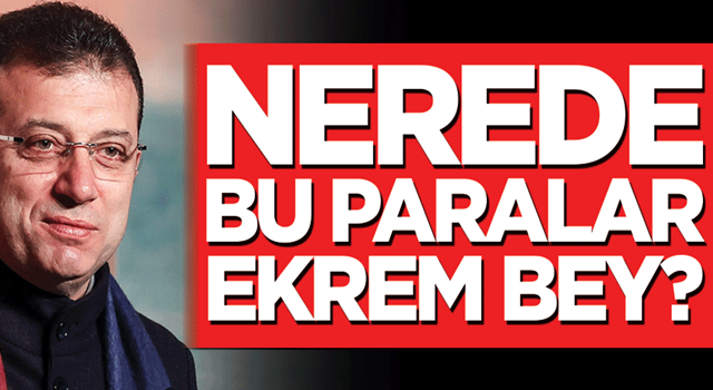 Nerede bu paralar Ekrem bey?