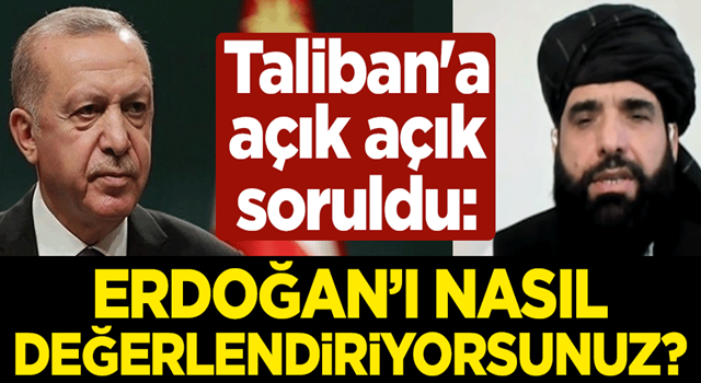 Taliban'a açık açık soruldu: Erdoğan'ı nasıl değerlendiriyorsunuz?