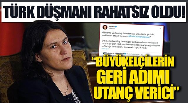 Büyükelçilerin geri adımı Türk düşmanı Kati Piri'yi rahatsız etti