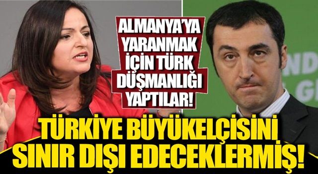 Cem Özdemir ve Sevim Dağdelen'den 10 büyükelçi kararına tepki