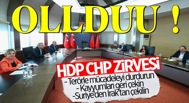 HDP heyeti, Demokrasi Tutum Belgesi’ni CHP'ye sundu