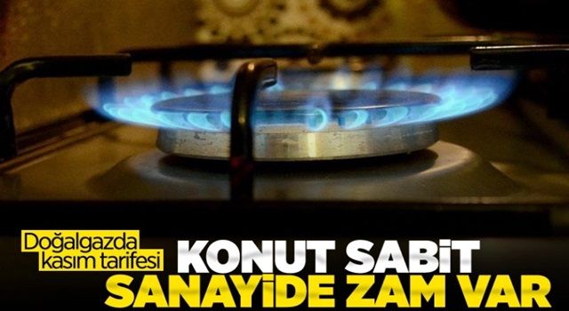 Doğalgazda kasım tarifesinde sanayi ve santrallere zam geldi