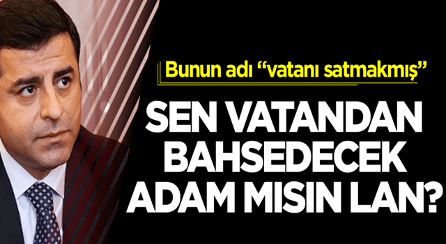 Sen "vatan"dan bahsedecek adam mısın lan?