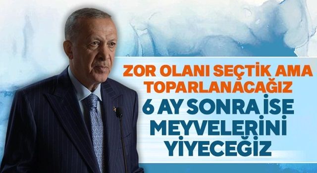 Cumhurbaşkanı Erdoğan, “Zor olanı seçtik ama 4-5 aya toparlanacağız”