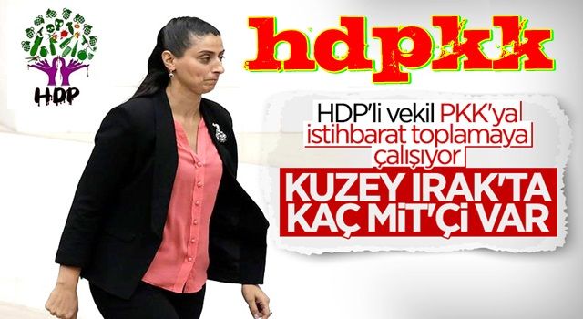 HDP'den Meclis'e MİT hakkında soru önergesi