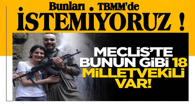 Meclis'te 18 tane Semra Güzel var! İşte terörist akrabası olan milletvekilleri