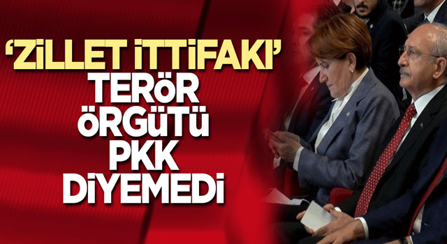 'Patlama' ittifakı: Akşener ve Kılıçdaroğlu üç askerin şehit olduğu hain saldırıyı 'patlama' diyerek geçiştirdi