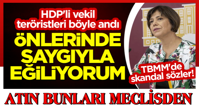 TBMM'de skandal sözler! HDP'li vekil teröristleri böyle andı: Önlerinde saygıyla eğiliyorum