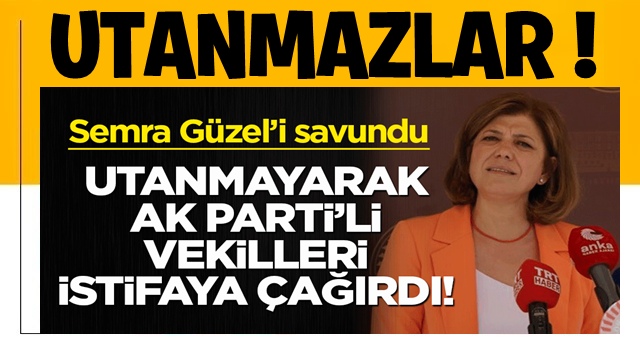 Teröristle fotoğrafları çıkan HDP'li Güzel'i savundu! Utanmadı, AK Partili milletvekillerini istifaya çağırdı