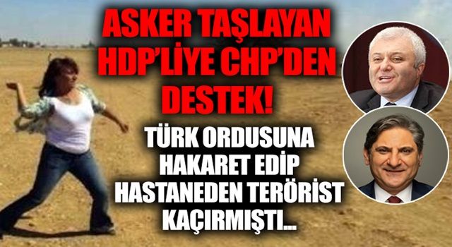 Türk ordusuna 'militarist grup' deyip polise taş atan HDP'li Tuğluk'a CHP özgürlük istedi