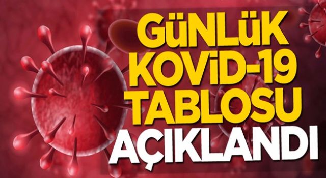 Koronavirüste son tablo açıklandı! Vaka sayısı eridikçe eriyor