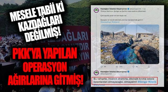 Kazdağları İstanbul Dayanışması'dan provokatif paylaşım!