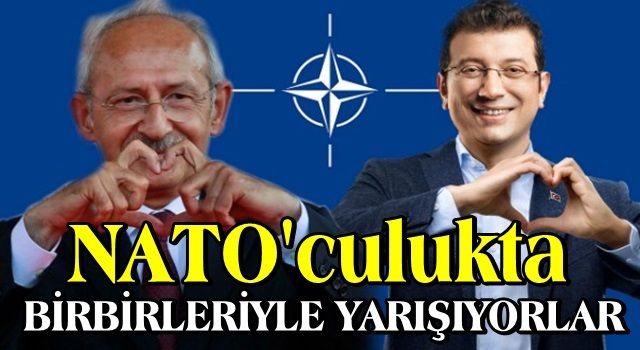 NATO’culukta yarışıyorlar