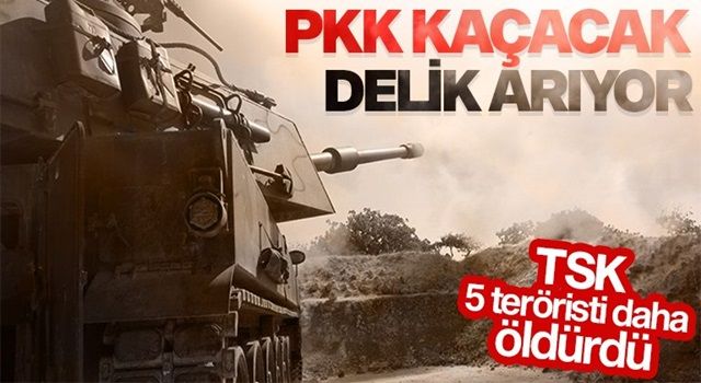 Pençe Kaplan bölgesinde 5 terörist öldürüldü