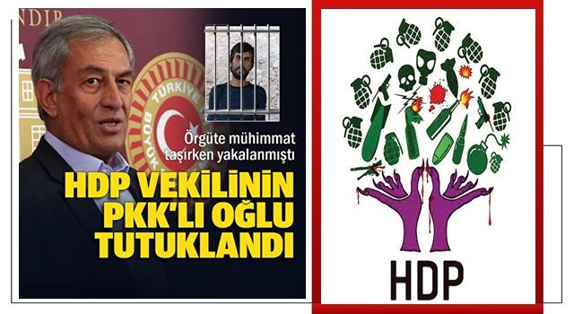 PKK'ya silah taşırken yakalanmıştı: HDP vekilinin oğluna hapis cezası