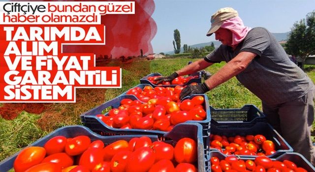 Çiftçilere müjde: Alım ve fiyat garantili sistem yolda