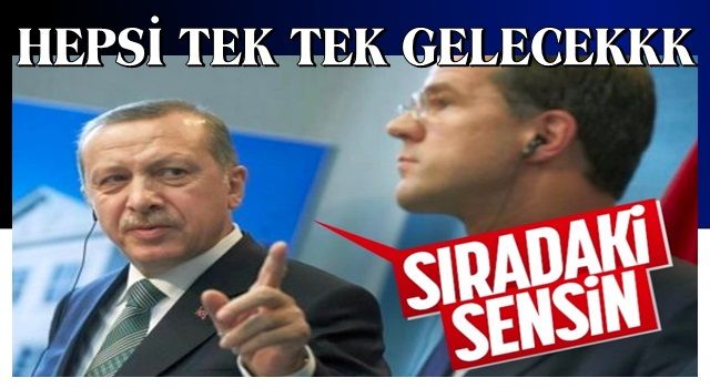 Hollanda Başbakanı Mark Rutte, Cumhurbaşkanı Erdoğan'ı ziyaret edecek