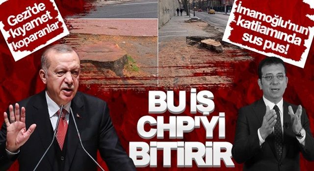 İmamoğlu’nun ağaç katliamına Erdoğan yorumu: ''Bu iş CHP’yi bitirir''