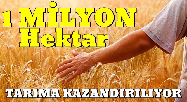 Bakan Kirişçi: 1 milyon hektarlık alanı üretime yeniden kazandıracağız