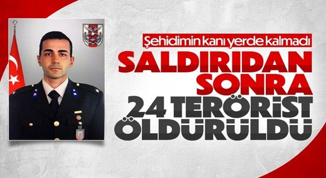 Zeytindalı bölgesinde 24 terörist öldürüldü