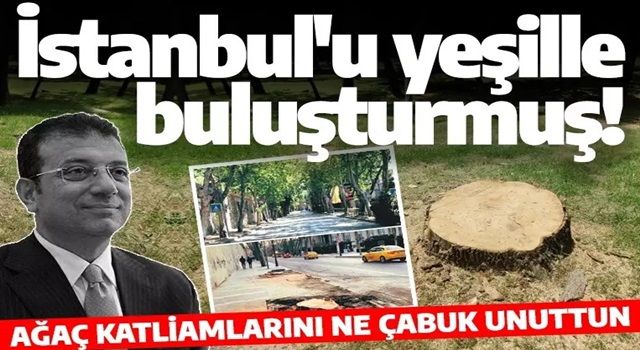 Ağaç katliamını çabuk unuttu! İmamoğlu İstanbul'u yeşille buluşturmuş