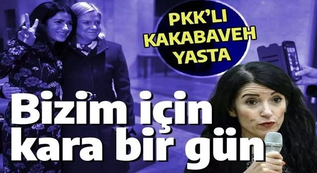 İsveç'te PKK'lı Kakabaveh muhtırayı böyle yorumladı: Bizim için kara bir gün