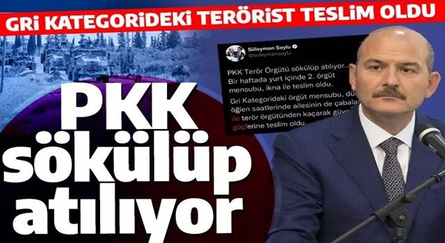 Son dakika: Soylu duyurdu! Gri kategorideki terörist ikna yoluyla teslim oldu