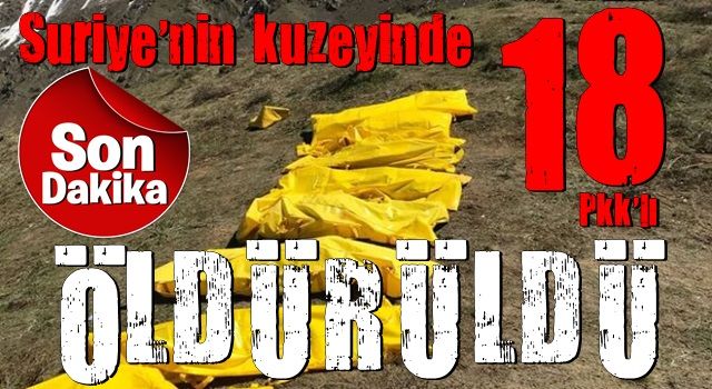 Suriye'nin kuzeyinde 18 PKK/YPG'li terörist etkisiz hâle getirildi