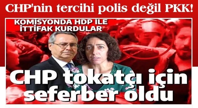 CHP'nin tercihi polis değil PKK! Tokatçı Saliha Aydeniz'i böyle savundular