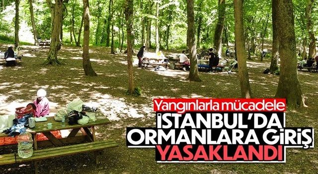 İstanbul'da ormanlara giriş yasaklandı