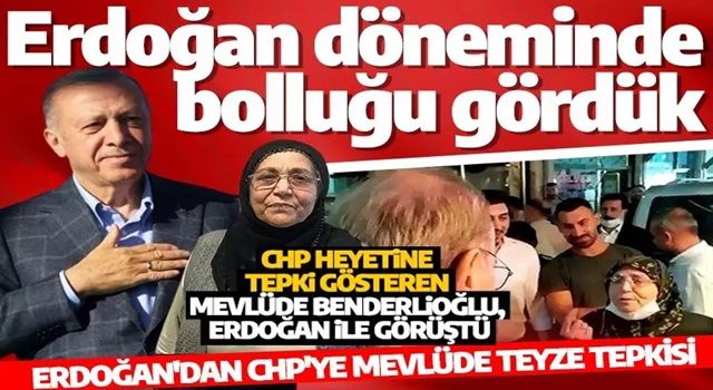 Mevlüde Teyze, Cumhurbaşkanı Erdoğan ile görüştü: Erdoğan döneminde bolluğu gördük