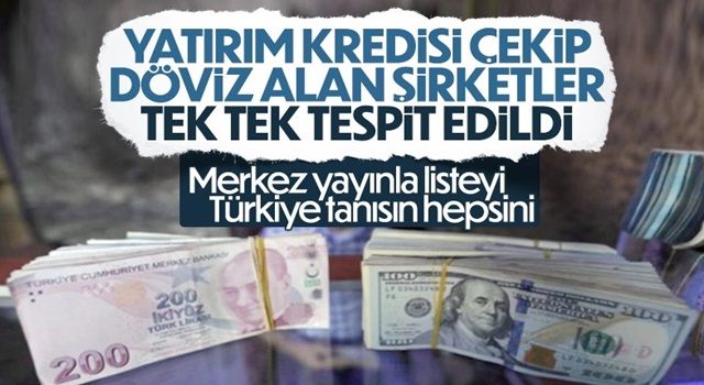 Yatırım kredisi kullanıp döviz alan şirketler tespit edildi