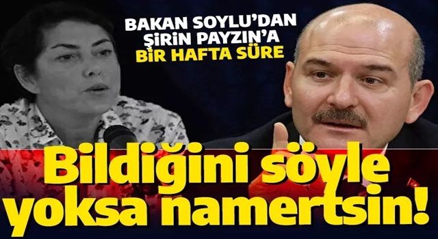 Bakan Soylu'dan Şirin Payzın'a yanıt: Bildiğinizi söylemezseniz namertsiniz