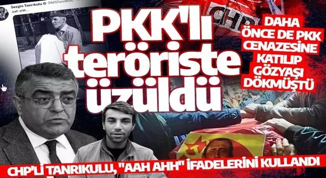 CHP'li Tanrıkulu PKK'lı teröriste üzüldü: "Aah ahh"