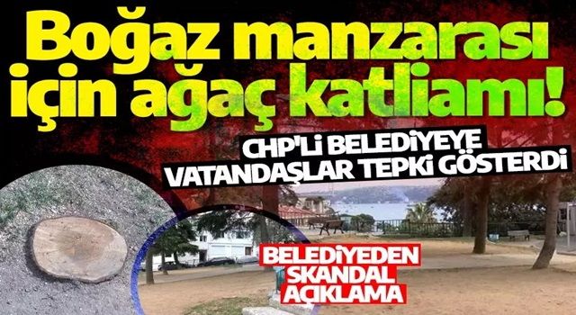 Boğaz manzarası için ağaç katliamı! CHP'li belediyeye vatandaşlar tepki gösterdi