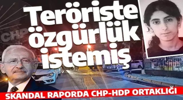 CHP, Mersin'i kana bulayan terörist için özgürlük istemiş