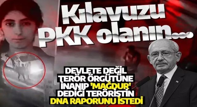 Kılavuzu PKK olanın... Devlete değil terör örgütüne inanıp 'mağdur' dediği teröristin DNA raporunu istedi