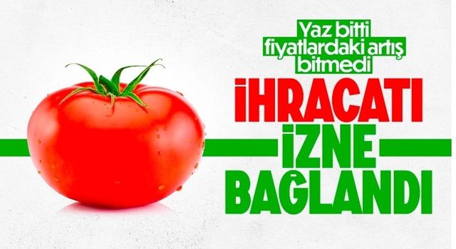 Resmi Gazete'de yayımlandı: Domates listeye dahil oldu! İhracı için izin almak gerekecek