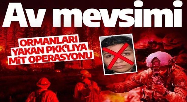 Son dakika: MİT'ten nokta operasyon! Kırmızı kategoride aranan terörist yok edildi