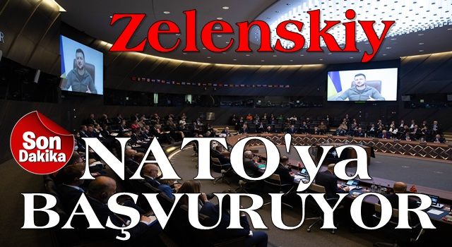 Zelenskiy: Ukrayna hızlandırılmış prosedür kapsamında NATO üyeliğine başvuracak