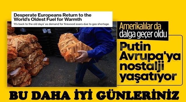 Bloomberg: Çaresiz Avrupalılar, dünyanın en eski yakıtına geri döndü