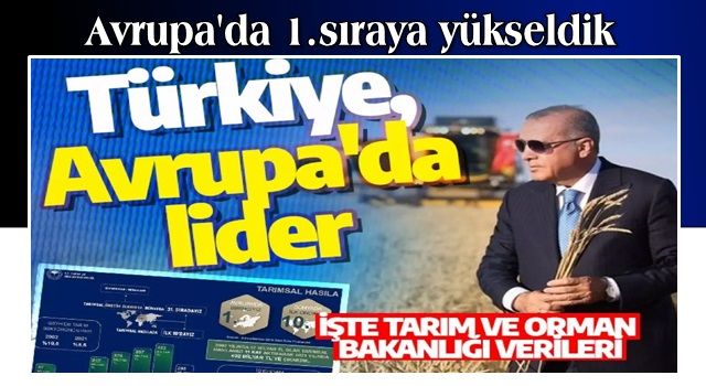 Türkiye, Avrupa'da lider: Destek ödemeleri 21 hasıla 11 kat arttı! İşte Tarım ve Orman Bakanlığı verileri