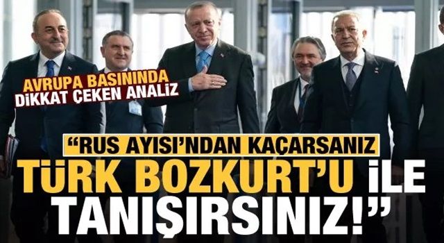 Almanlar yazdı: 'Rus ayısı'ndan' kaçarsanız, 'Türk bozkurtu'yla tanışırsınız!