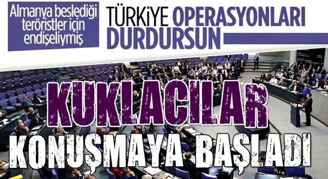 Almanya'dan Pençe-Kılıç operasyonuna tepki