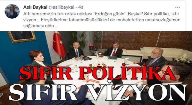 Aslı Baykal ittifakı topa tuttu: 6 benzemezin tek ortak noktası Erdoğan gitsin! Sıfır politika...