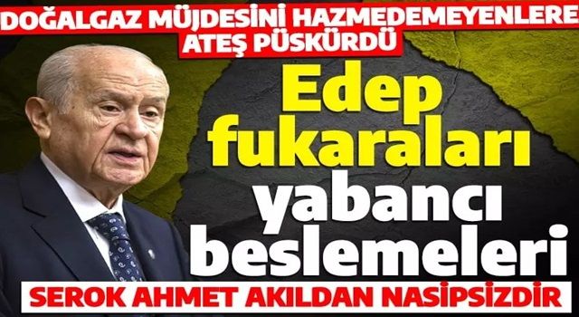 Bahçeli CHP'nin doğalgaz hazımsızlığına ateş püskürdü: Bunlar maalesef yabancı beslemeleridir