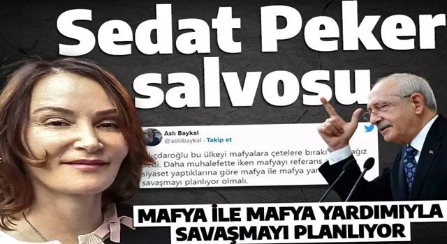 Aslı Baykal'dan Kılıçdaroğlu'na bombardıman: Mafya ile mafya yardımıyla savaşmayı planlıyor