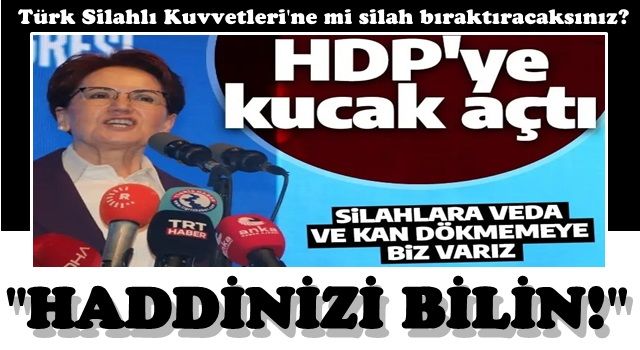 Meral Akşener, Diyarbakır'da HDP'ye kucak açtı: Biz varız