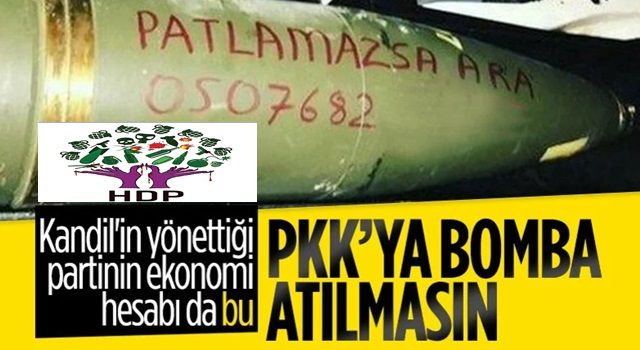 HDP'nin ekonomi anlayışı: PKK'ya operasyonları bitireceğiz