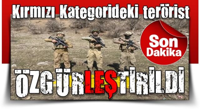 İçişleri Bakanı Soylu: Kırmızı Kategorideki terörist Hamiyet Yalçınkaya ÖLDÜRÜLDÜ